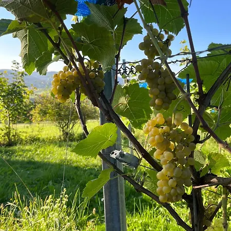 Lägenhet Dorfliebe Winterkasten Lindenfels