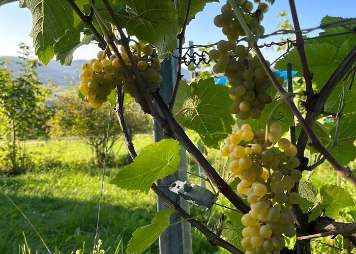 Appartamento Dorfliebe Winterkasten Lindenfels